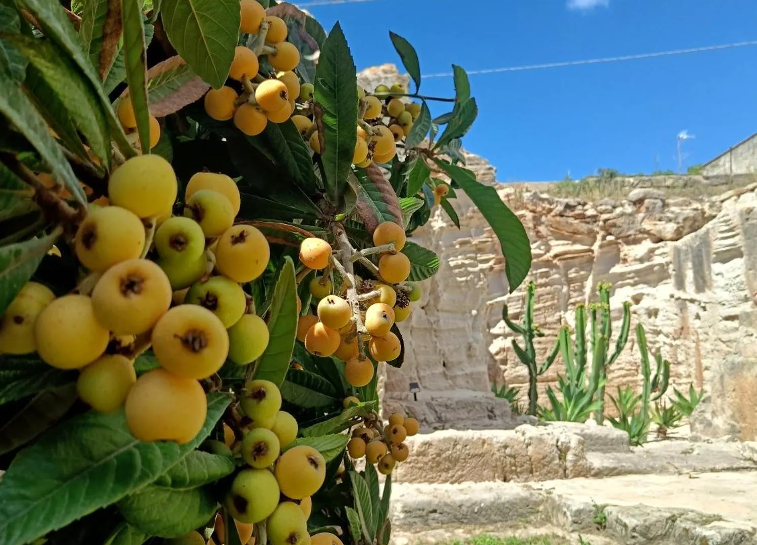 La Dimora Del Cavatore Favignana Appartement